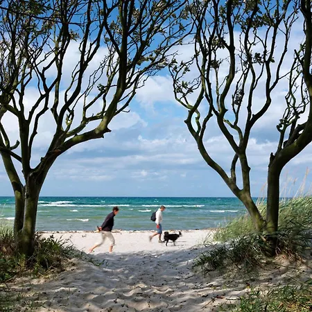 Poschmann Strohboden Insel Poel